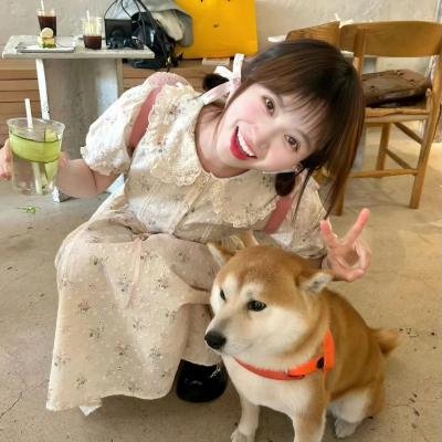 电视剧场